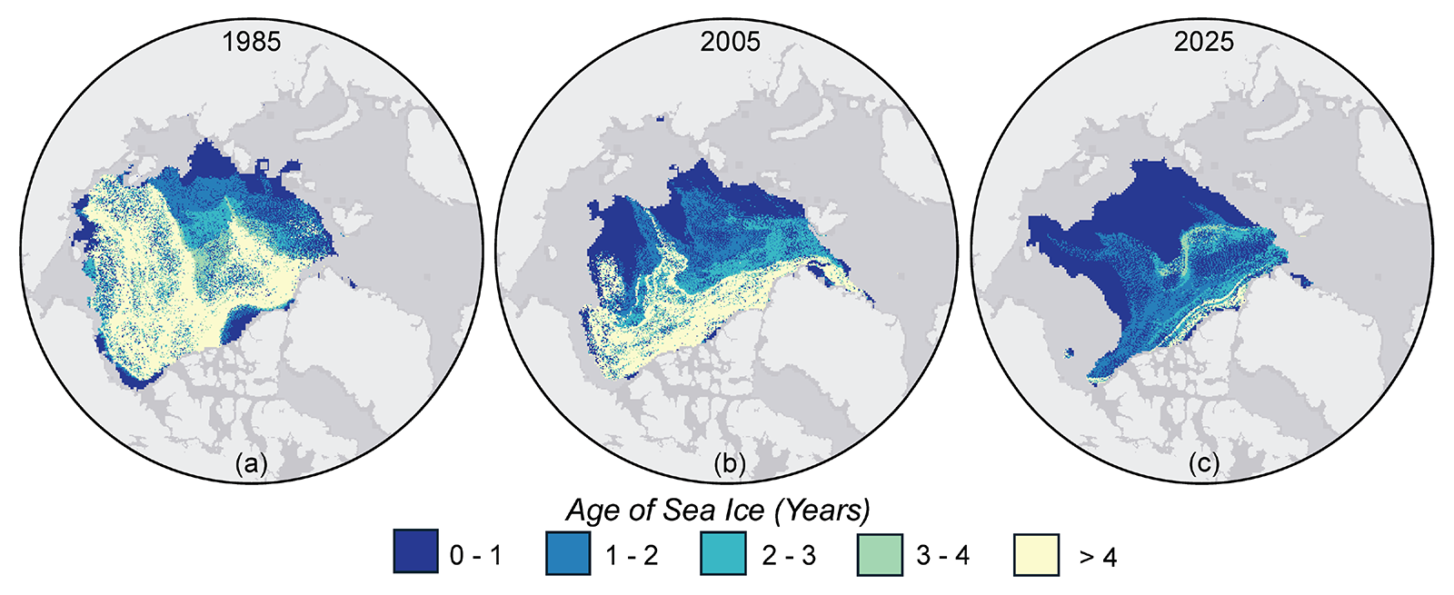 1985년 2005년 2025년 북극 해빙 연령을 비교해 오래된 해빙 감소를 보여주는 NOAA 지도